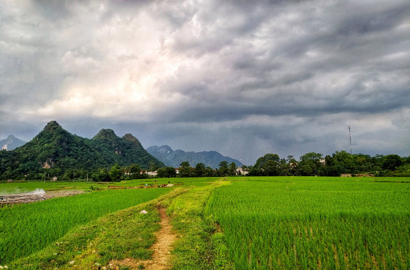 Kim Bôi Hòa bình cách Hà Nội bao nhiêu Km