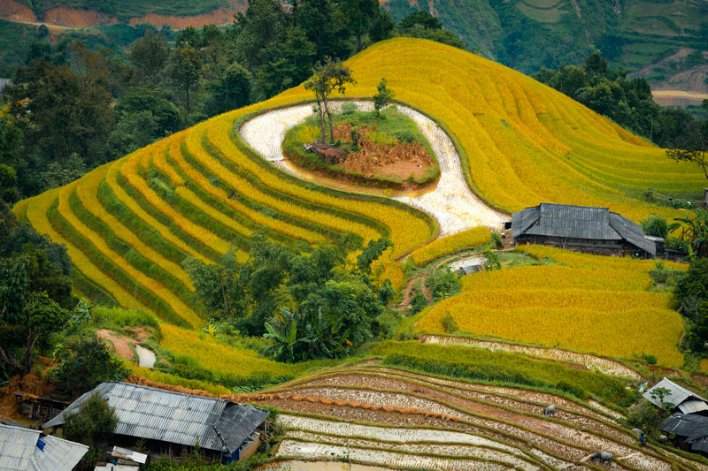 giữ gìn và phát triển ruộng bậc thang Hoàng Su Phí