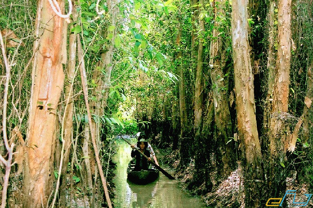 địa điểm du lịch miền Tây: khu sinh thái xẻo quýt