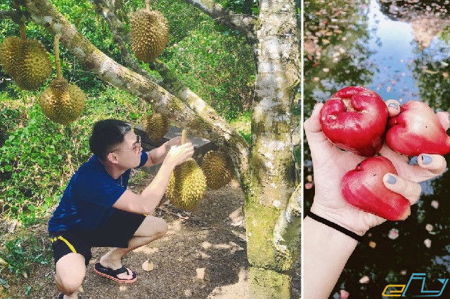 10 địa điểm du lịch Tiền Giang không đi hối hận cả đời