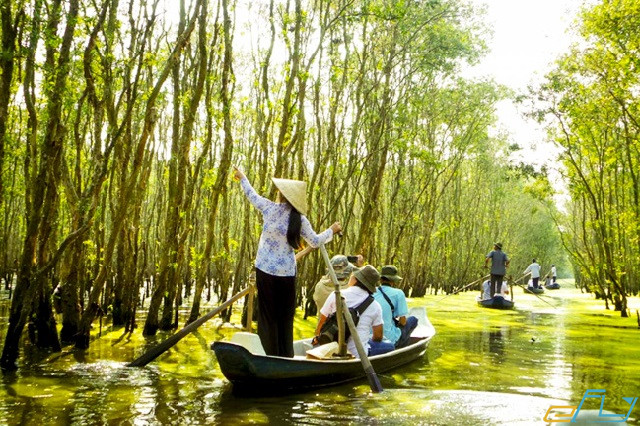 kinh nghiệm du lịch Đồng Tháp: rừng tràm mùa nước nổi