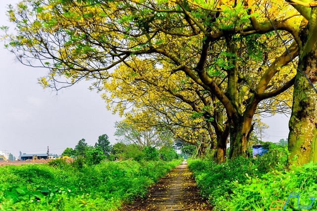 kinh nghiệm du lịch Hà Đông