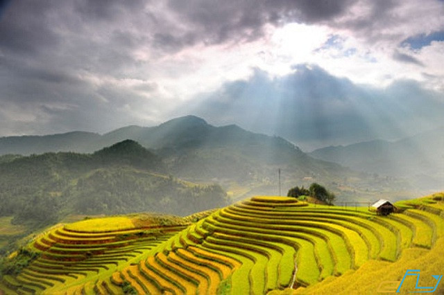 Cẩm nang kinh nghiệm du lịch Yên Bái: ruộng bậc thang mù cang chải