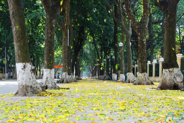 hà nội và các địa điểm ưu thích: đường tình yêu phan đình phùng