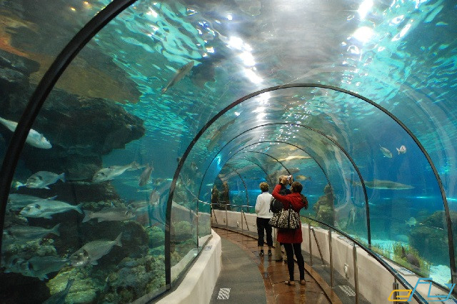 hà nội và các địa điểm ưu thích: vinpearl aquarium times city