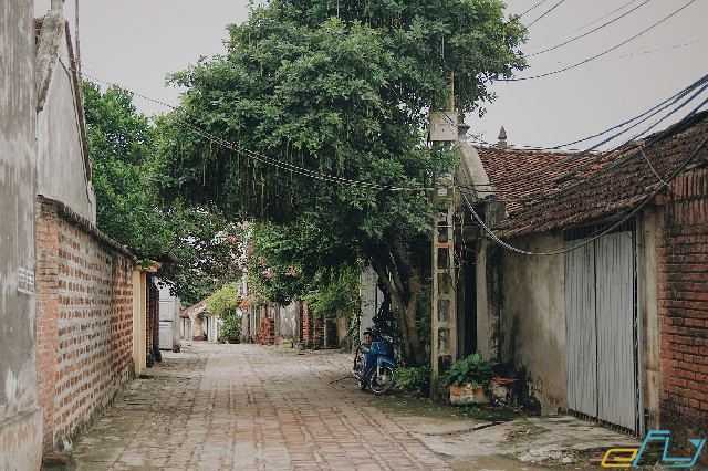 Làng Đường Lâm- ngôi làng cổ ở hà nội