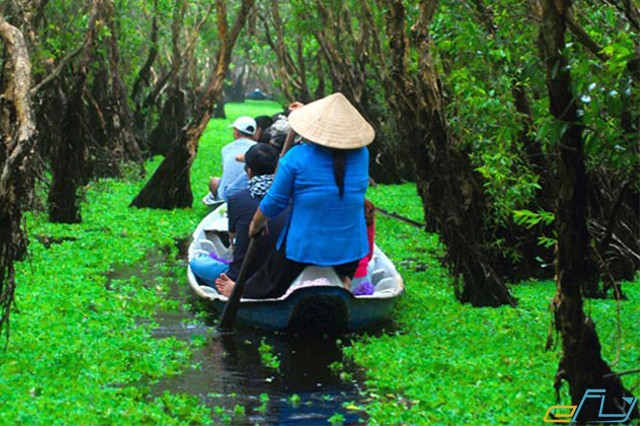 rừng tràm trà sư mùa nước nổi miền tây