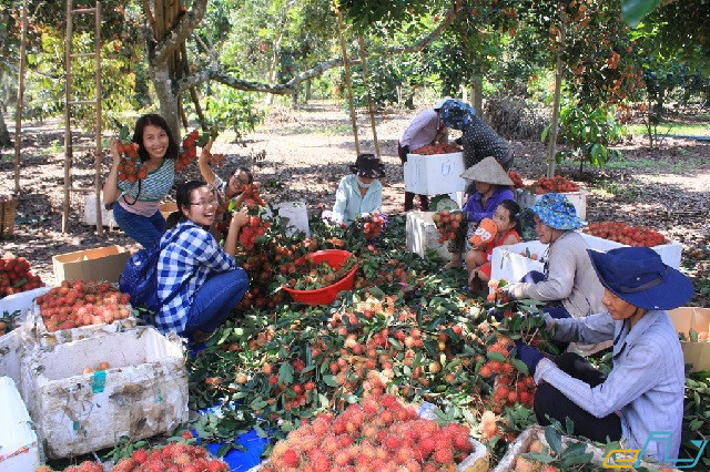 điểm đến du lịch Bến Tre hấp dẫn: khu du lịch sinh thái ba ngói