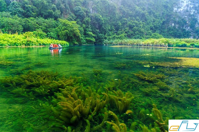 Đến chơi Tràng An, du khách sẽ luôn trong trạng thái ngỡ ngàng