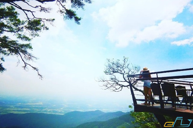 Du lịch Tam Đảo: quán gió tam đảo