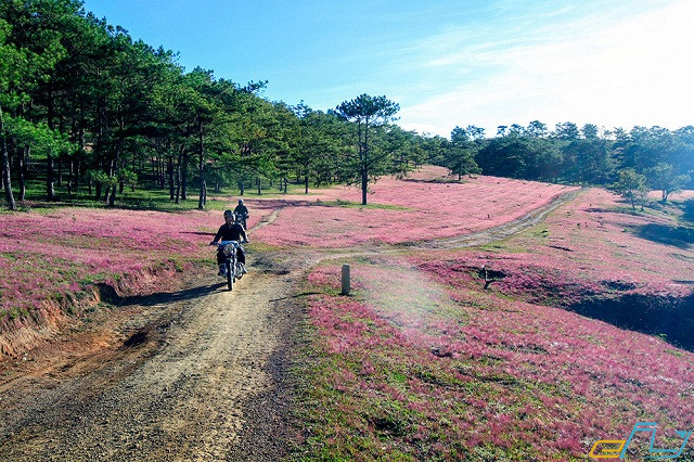 Kinh nghiệm du lịch Đà Lạt 2019 mới nhất