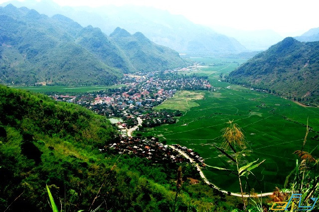 Kinh nghiệm du lịch Hòa Bình: mai châu