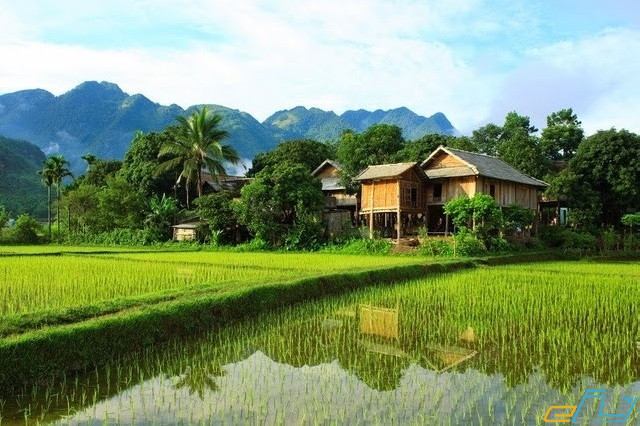 Kinh nghiệm du lịch Mai Châu: bản pom coọng