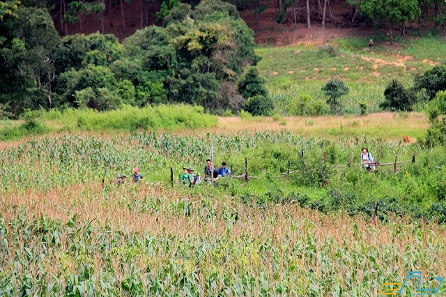 Kinh nghiệm phượt cung đường trekking Tà Năng – Phan Dũng 2019