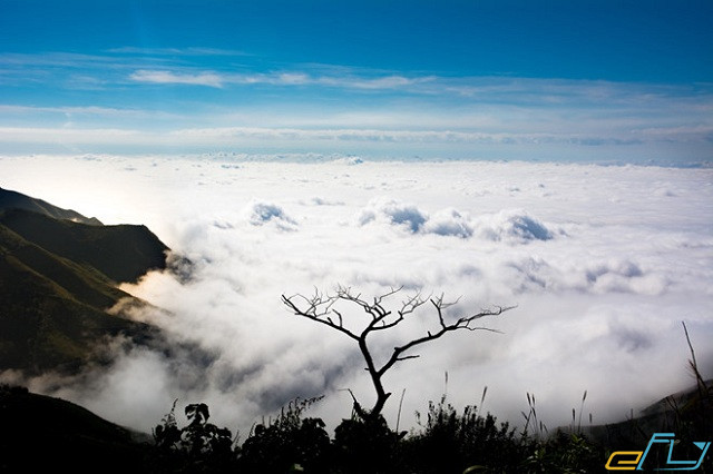 trekking Tà Xùa - Yên Bái