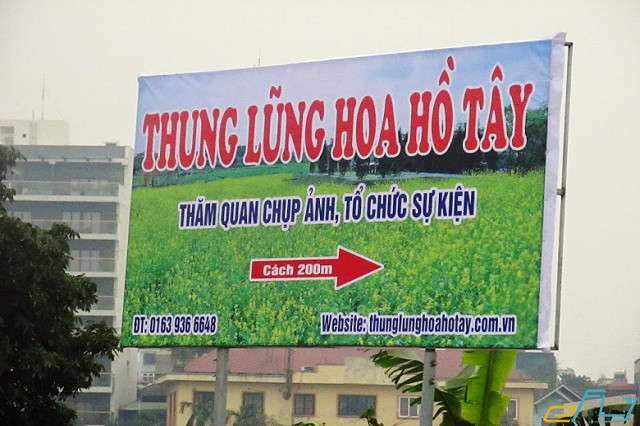 thung lũng hoa Hồ Tây Hà Nội