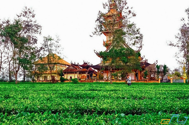 điểm du lịch gia lai