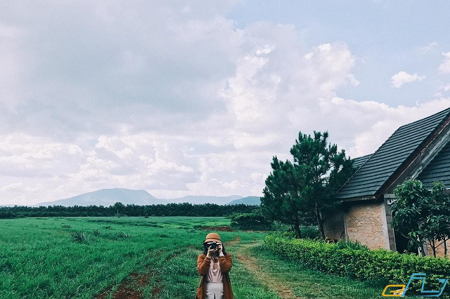 du lịch Đà Lạt dịp Tết Nguyên Đán 2019