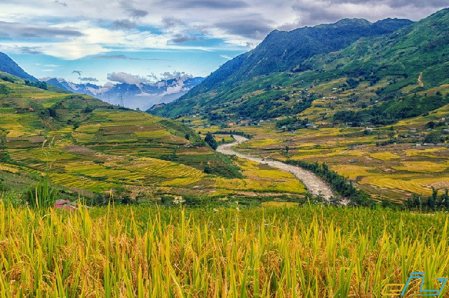 điểm du lịch Lào Cai: thung lũng mường hoa