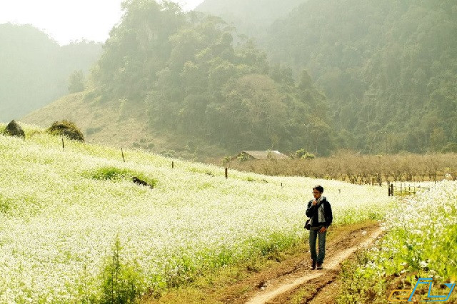 địa điểm du lịch Mộc Châu, Sơn La