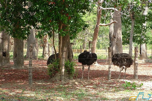 địa điểm du lịch ở Đắk Lắk