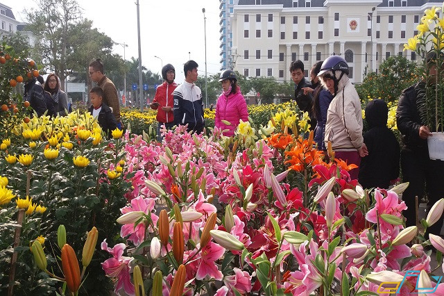 điểm đi chơi Tết ở Đà Nẵng 2019