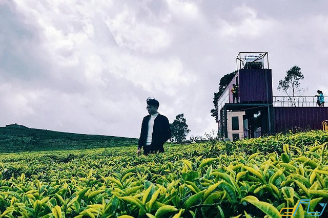 Save ngay 3 nông trại Đà Lạt