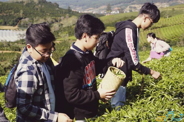 Save ngay 3 nông trại Đà Lạt