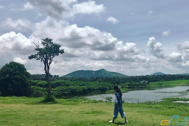 Save ngay 3 nông trại Đà Lạt