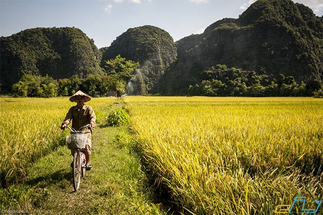 tam cốc  bích động mùa đẹp nhất