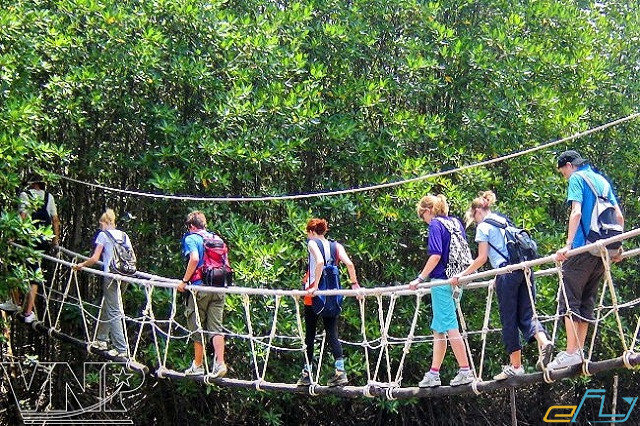 kinh nghiệm du lịch Trà Vinh Sóc Trăng: khu sinh thái rừng đước