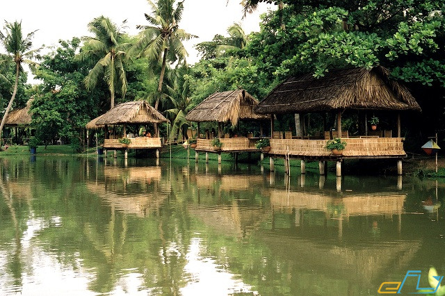 kinh nghiệm du lịch Trà Vinh Sóc Trăng: khu sinh thái cù lao long trị