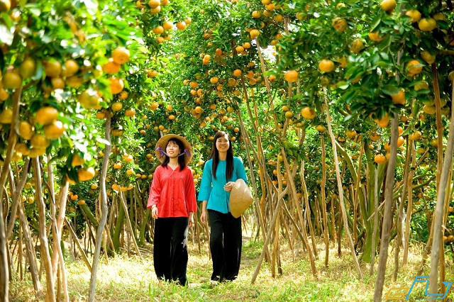 kinh nghiệm du lịch Trà Vinh Sóc Trăng: cù lao tân quý