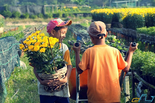 Tháng 1 đi chơi đâu: du lịch sa đéc tháng 1