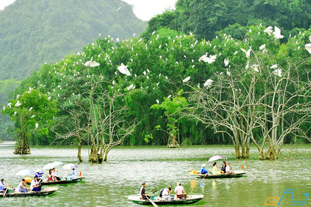 Vườn chim Thung Nham