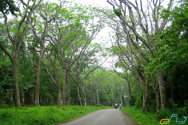 Thung Nham – Ninh Bình cách Hà Nội khoảng hơn 90 km