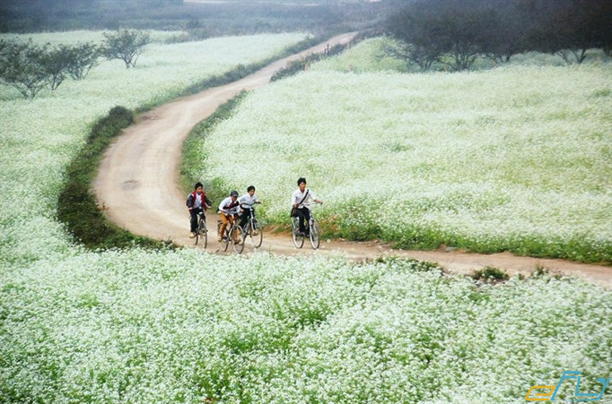 Mộc Châu