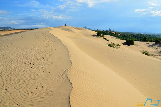 địa điểm du lịch Ninh Thuận: đồi cát nam cương