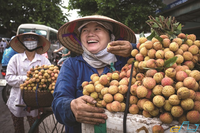 cẩm nang du lịch Hải Dương thời điểm nào đẹp nhất