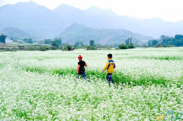 cẩm nang thời điểm du lịch Sơn La