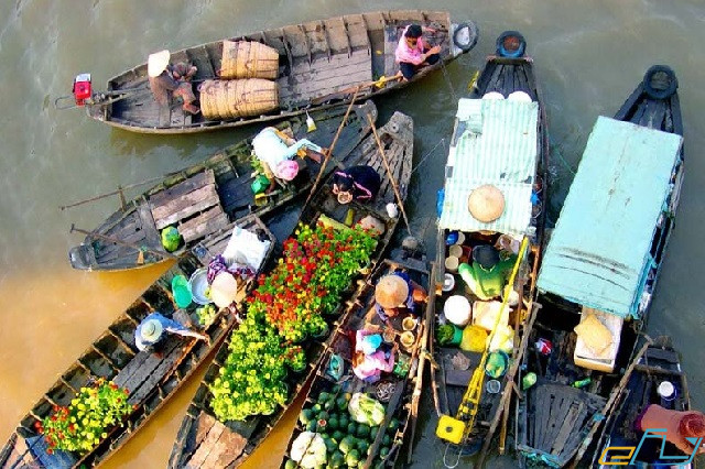 Trọn bộ kinh nghiệm du lịch Mỹ Tho Tiền Giang đầy đủ nhất