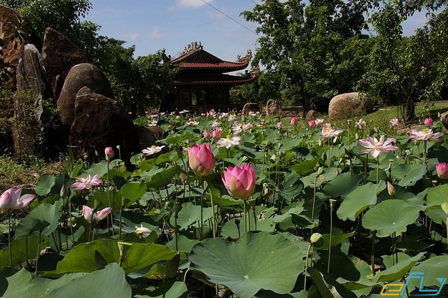 khu du lịch sinh thái nổi tiếng ở Tây Ninh